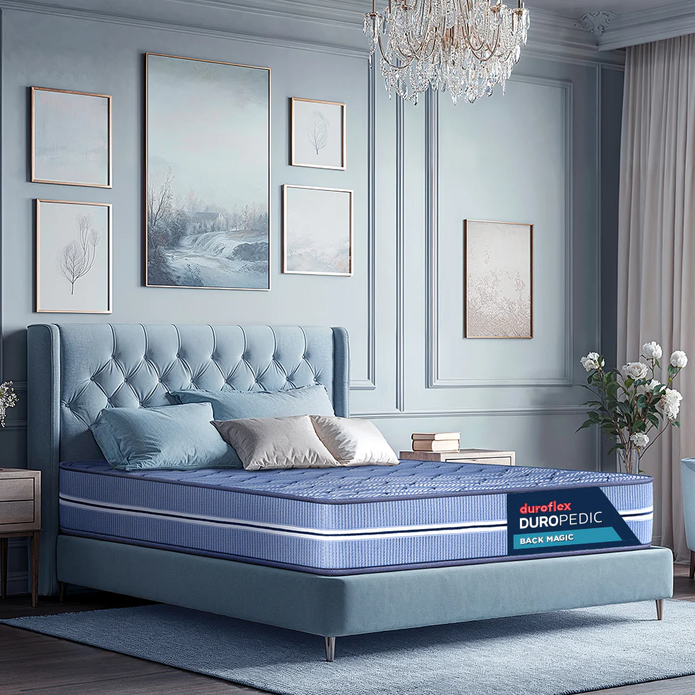 Back Magic Orthopedic Coir Mattress - Blue - Image 7